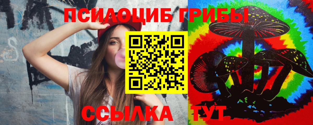 Псилоцибиновые грибы MAGIC MUSHROOMS  Псилоцибиновые грибы мухоморы  наркота  Петрозаводск  Вход с VPN 